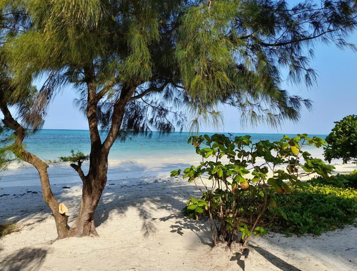 Kijani Beach Villas Bwejuu Eksteriør billede